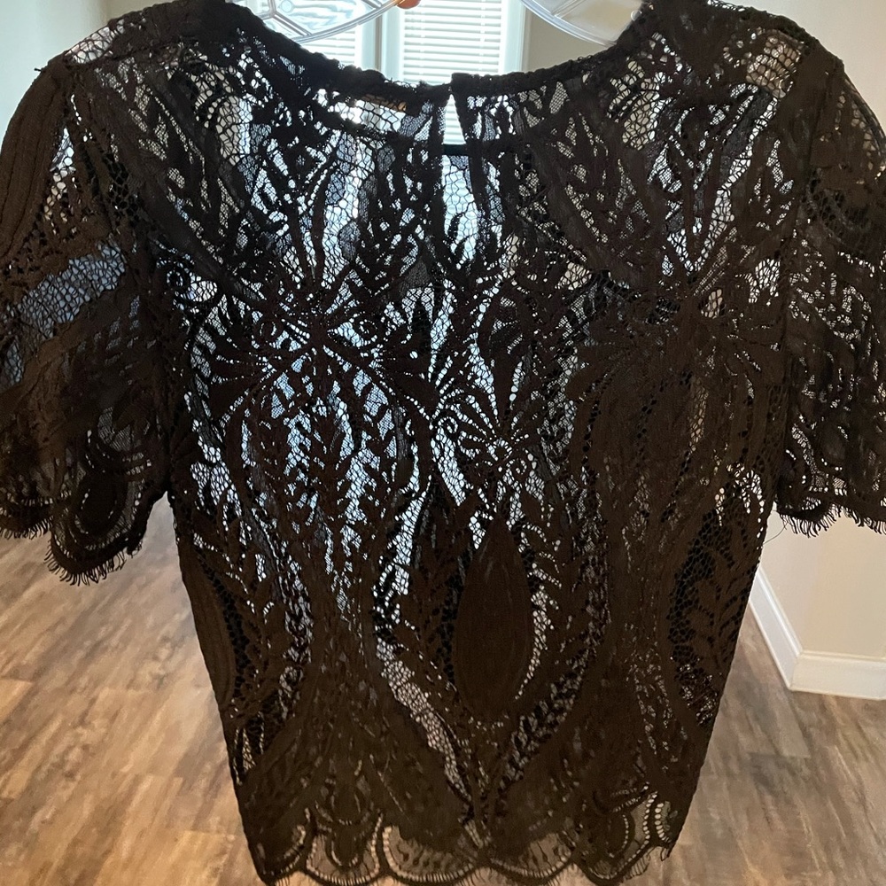 Zara sheer black lace blouse
